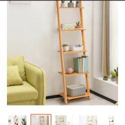 Ladder Case