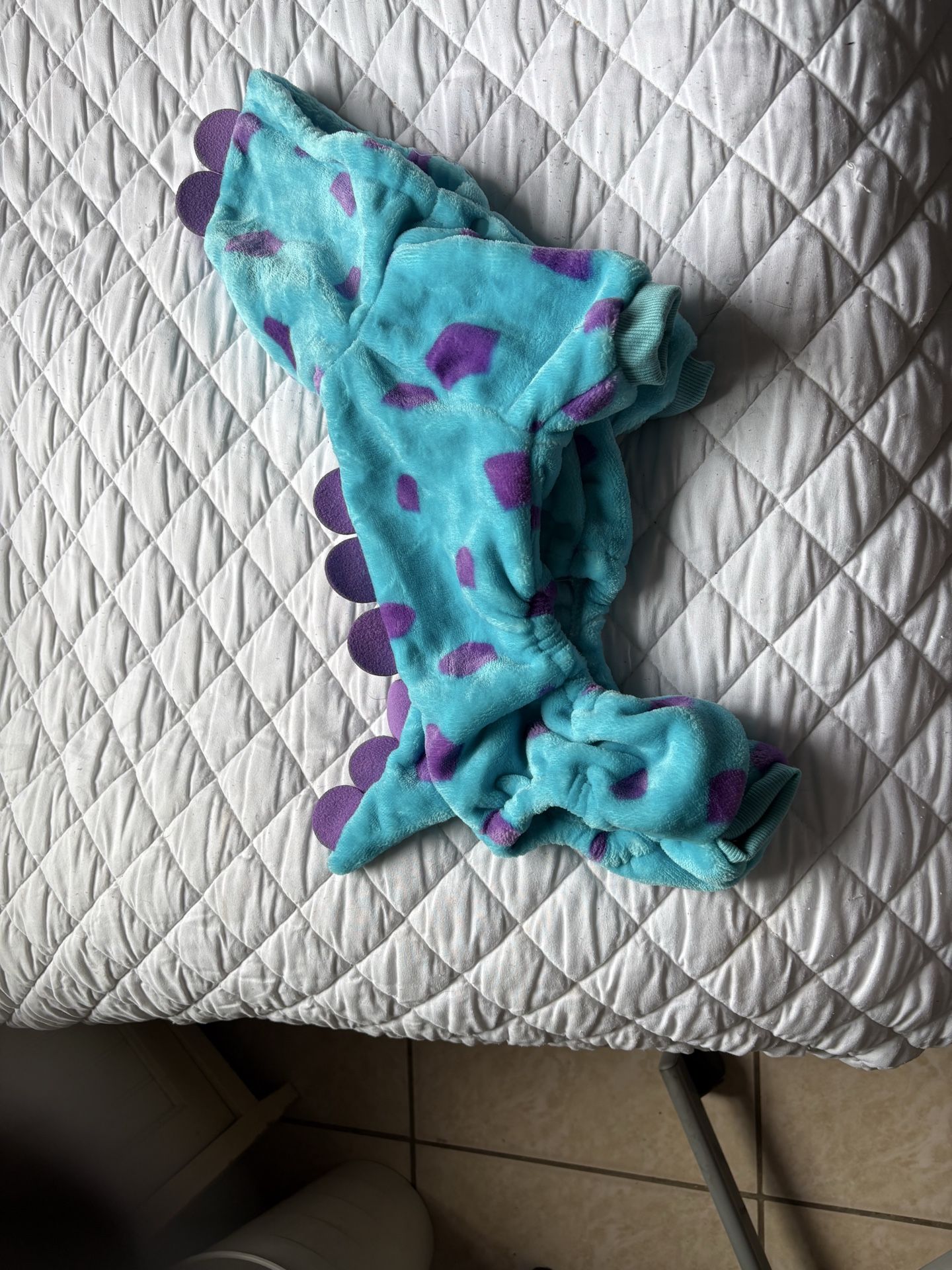 Dog dinosaur outfit