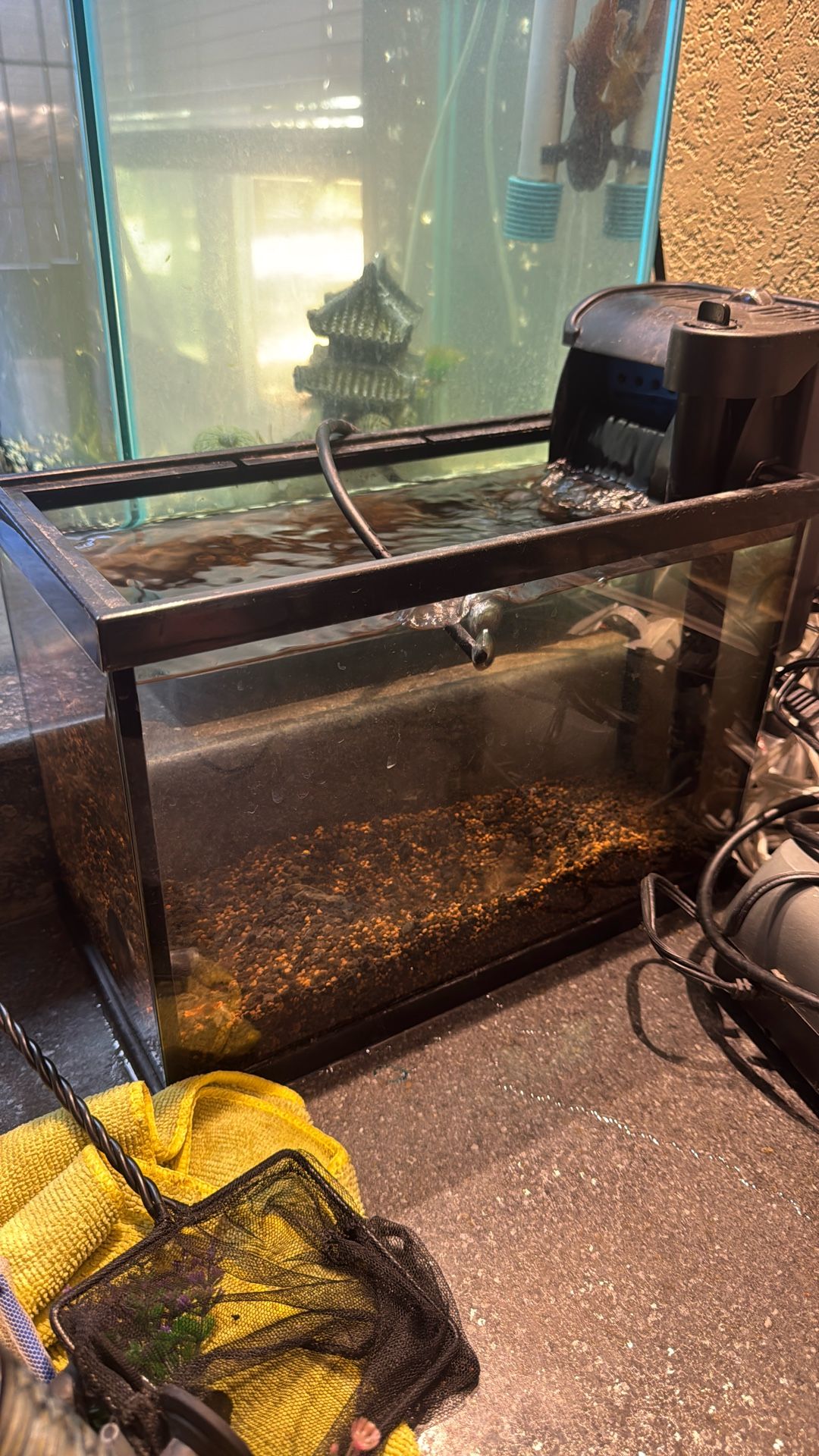 Small Fish Tank