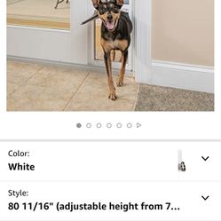 Pet Door