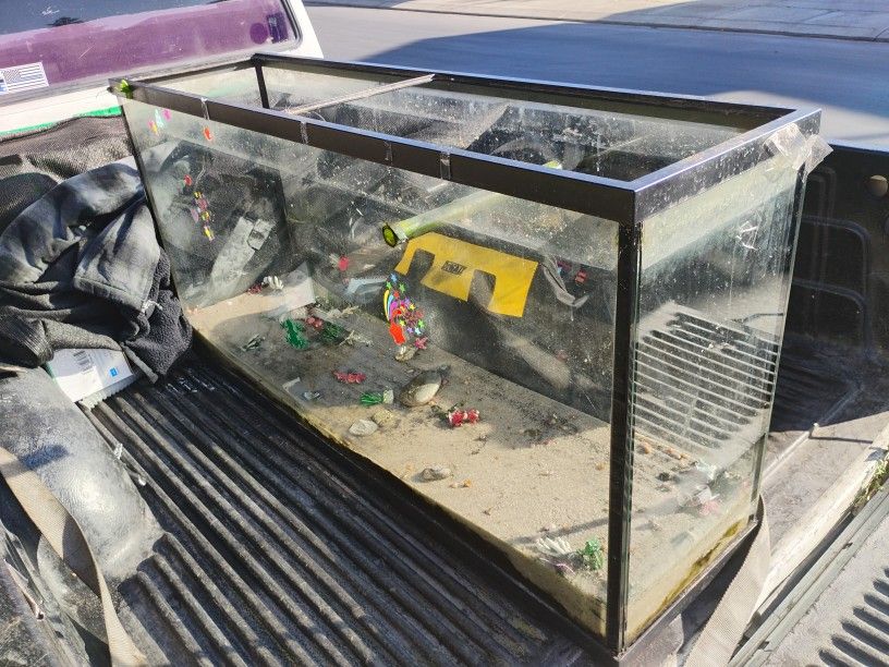 50 Gal Glass Fish Tank Perfect Condition