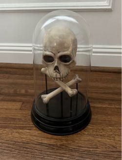 Ghouls’ Gala Skull & Crossbones Dome Halloween Decor