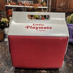 Small Red Playmate Cooler