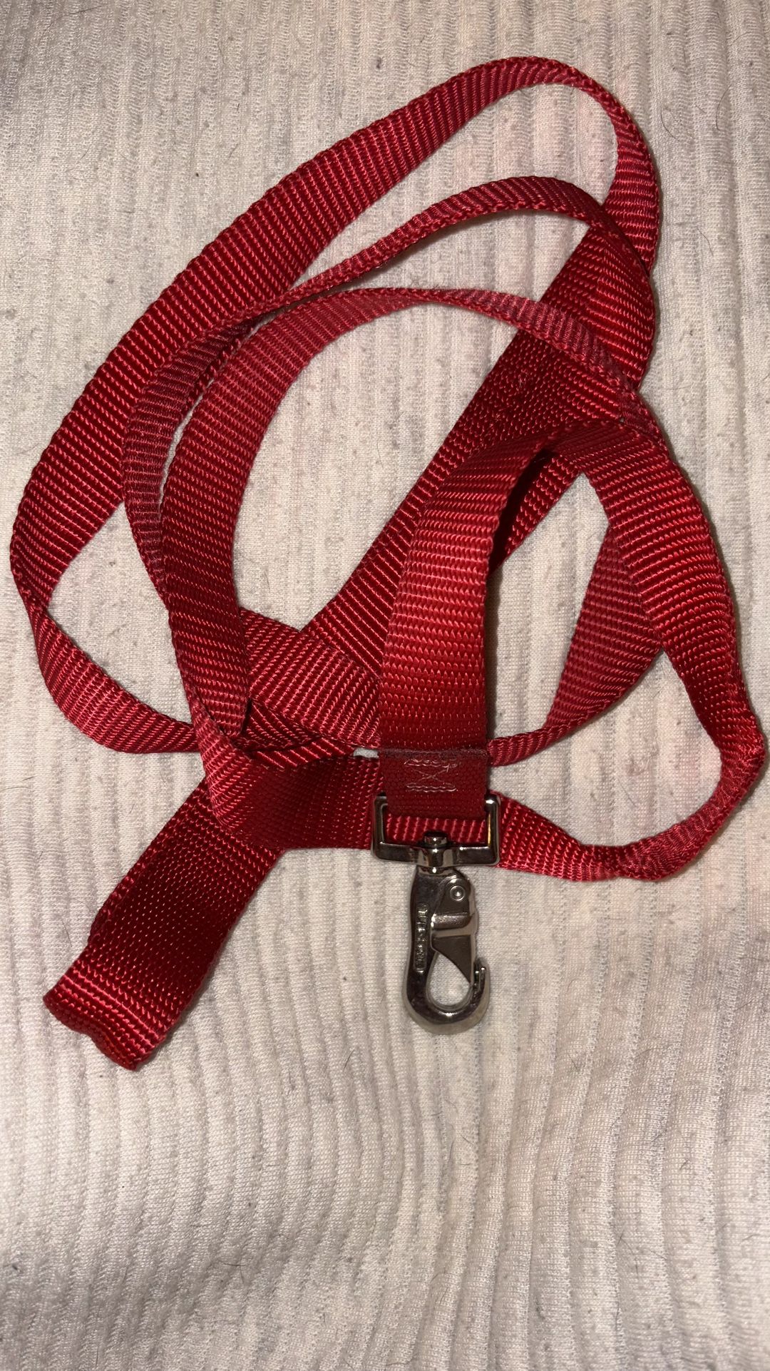 Red Dog Collar And Leash