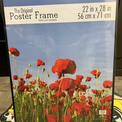 Poster Frames (2 Pack) 22”x28” New