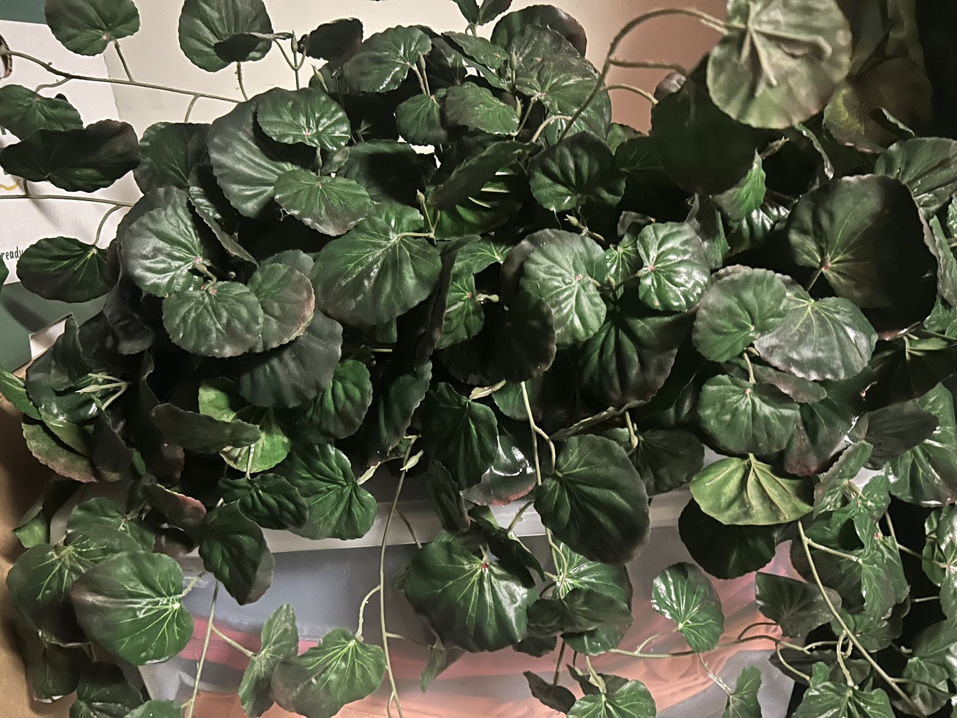 Silk Plants In Baskets
