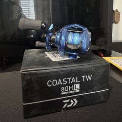 Daiwa Costal TW80 HL
