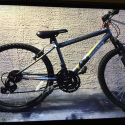 Bike 24”