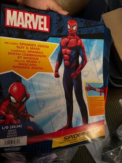 Marvel Spider-Man Adult Costume L/G