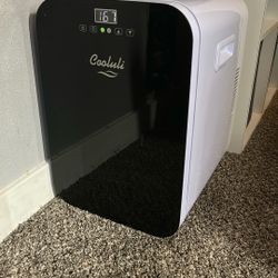 Mini Fridge