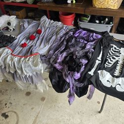 Adult Halloween Costumes 