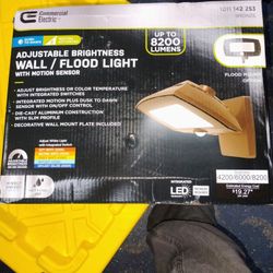 Adjustable Brightness Wall Flood Light 