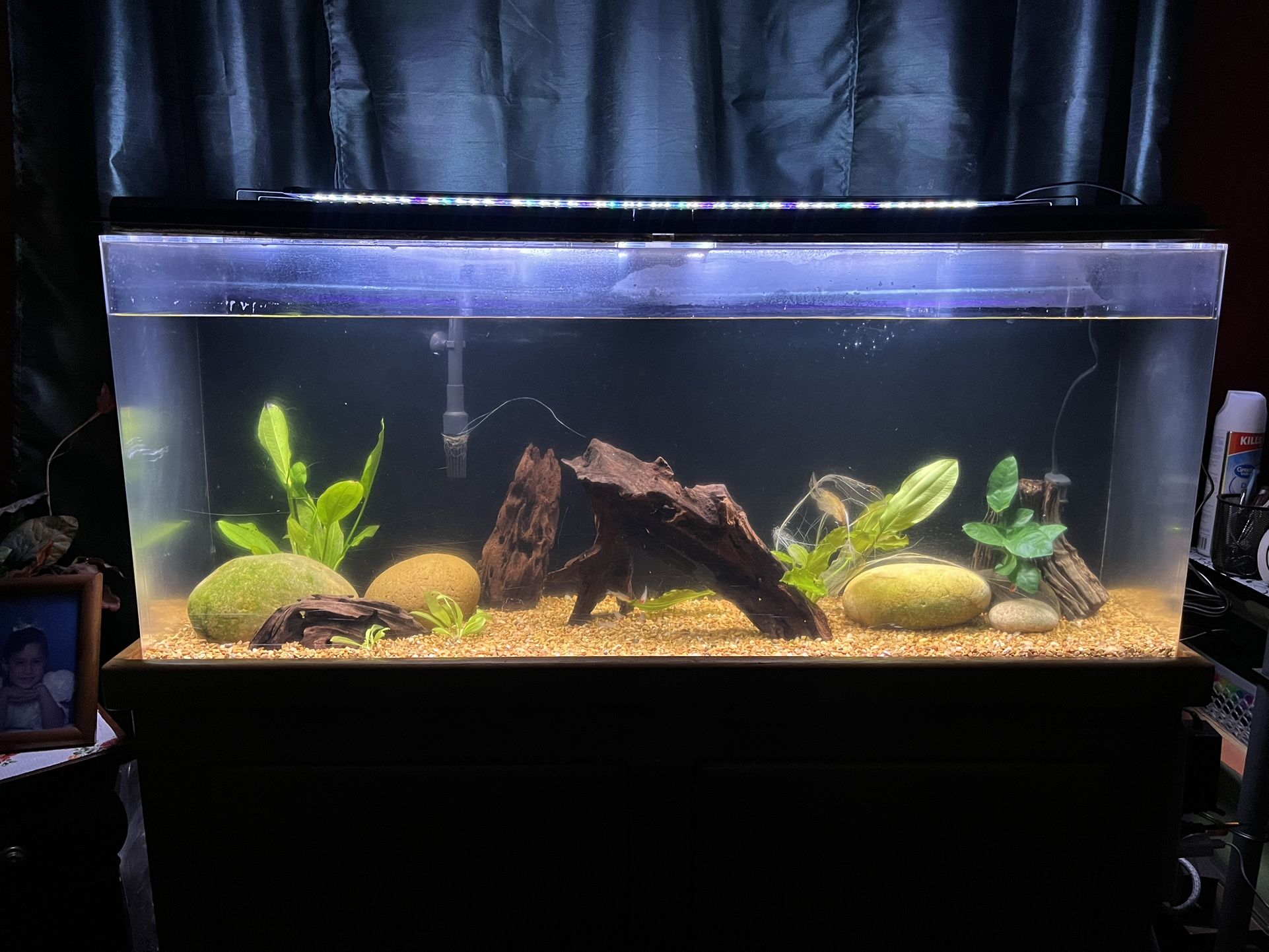 55 Gallon Acrylic Aquarium With Stand
