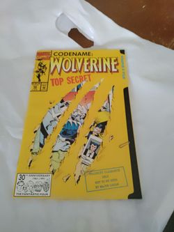 1991 MARVEL COMIC BOOK- PICK ⛏️ UP ONLY