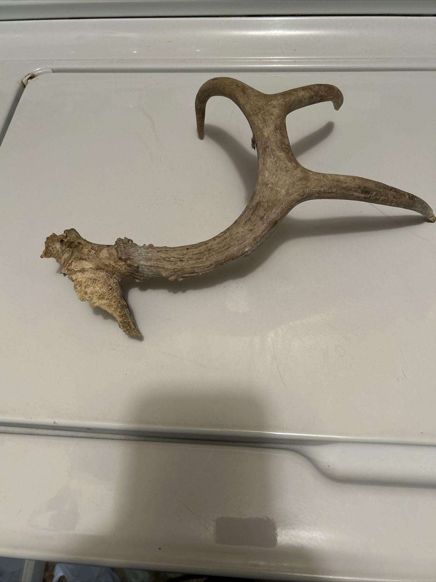 I Antler