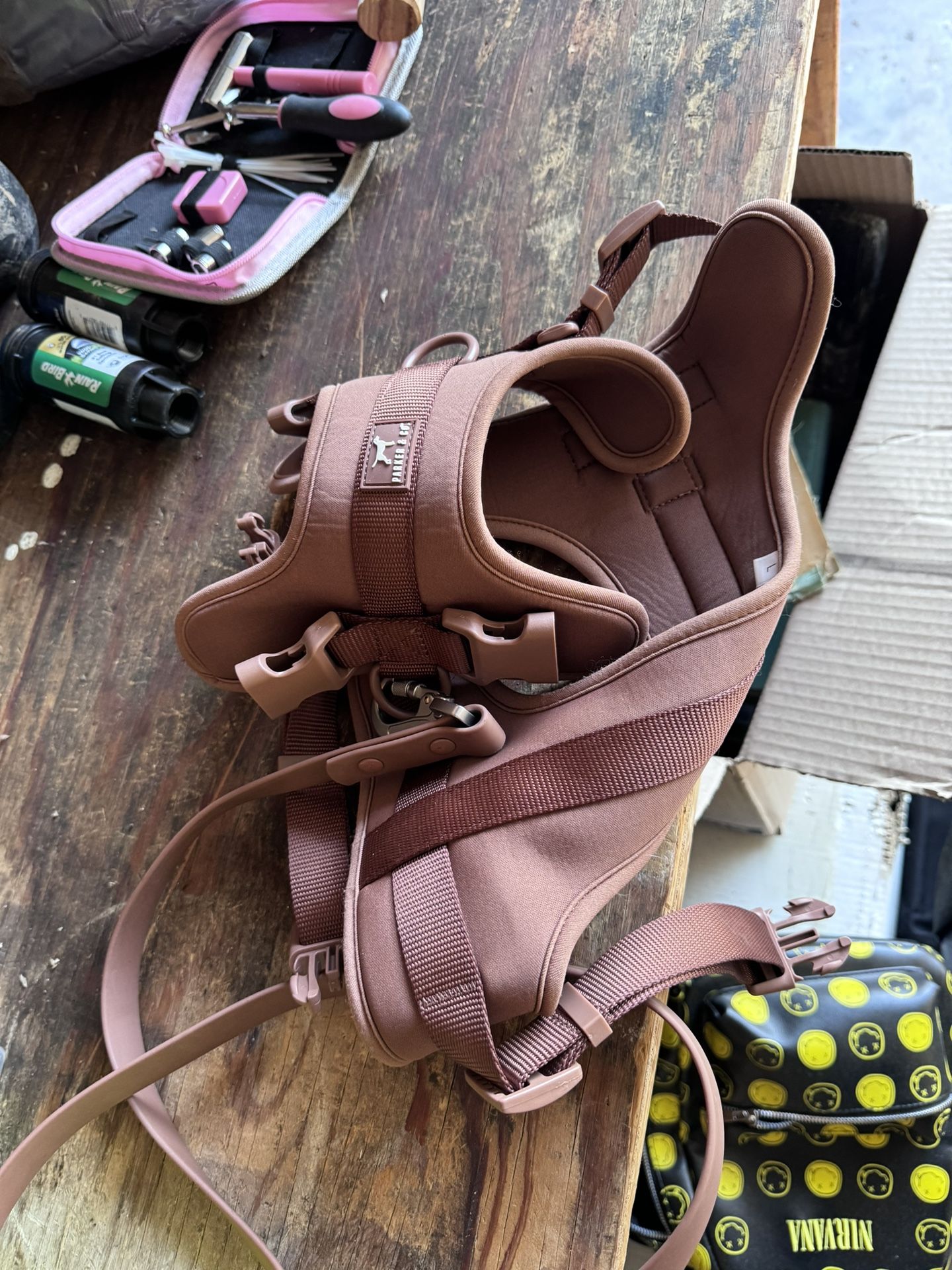 Large Dog Harness & Leash