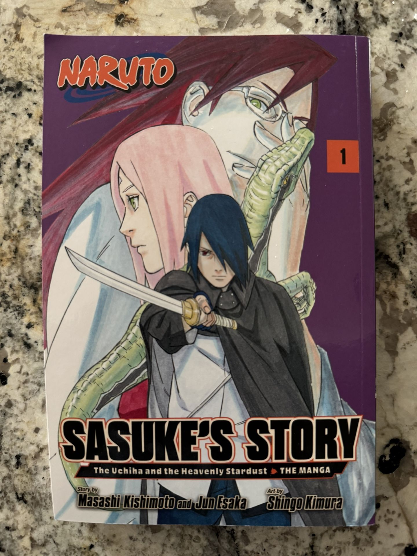 Sasuke’s Story Manga