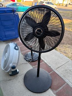 Fans