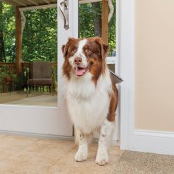 Dog Door New,Large And Tall 92-96”.