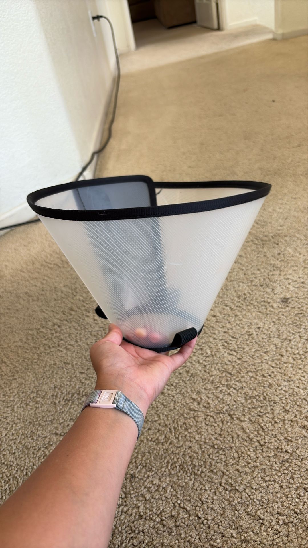 Dog Cone Collar Adjustable
