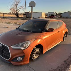 Veloster for sale