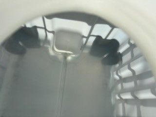 Ibc Totes Pre Order For Discount