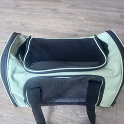Mint Green Cat Carrier