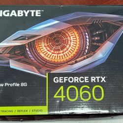 Gigabyte 4060 LP 8gb