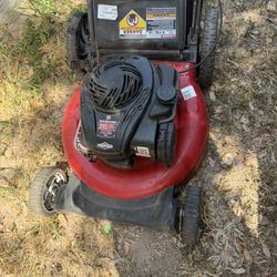 Lawn Equipment