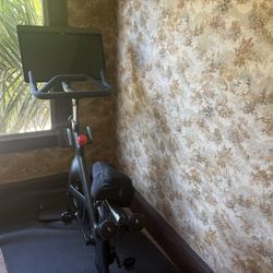 Peleton Bike+ For sale