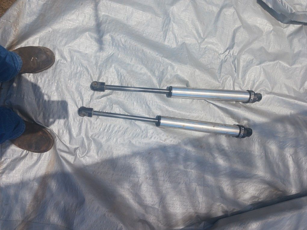 Dirt Logic Shocks 2.5
