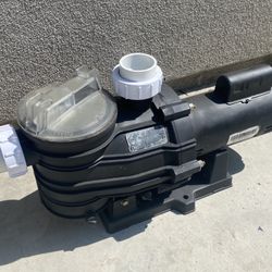 Pool Pump 