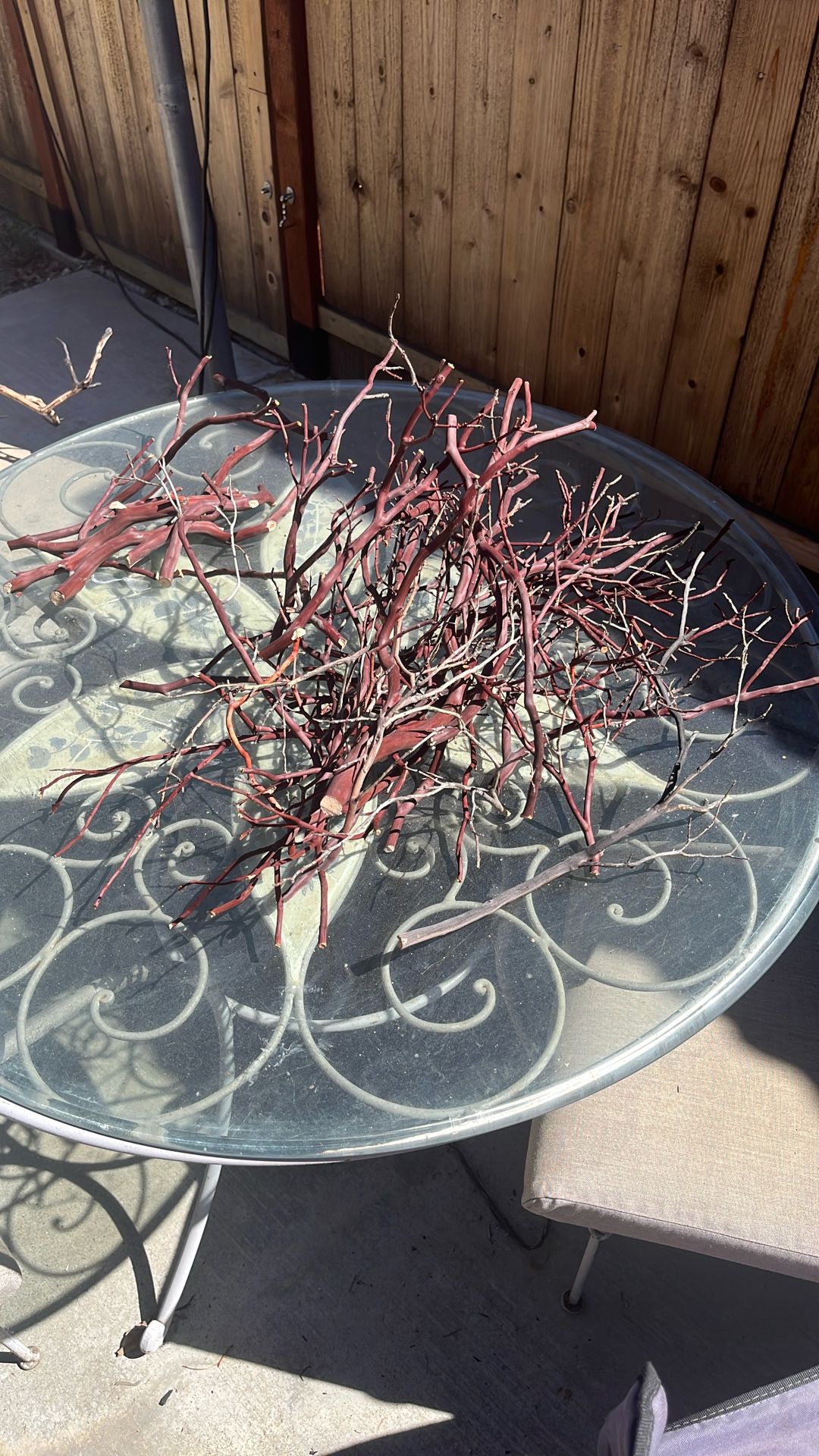 Aquarium Or Reptile Manzanita 