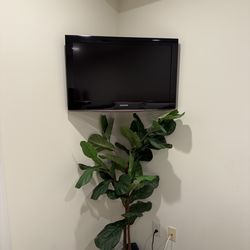 Samsung Tv & Extended Wall mount included