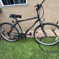 giant acapulco vintage mountain bike