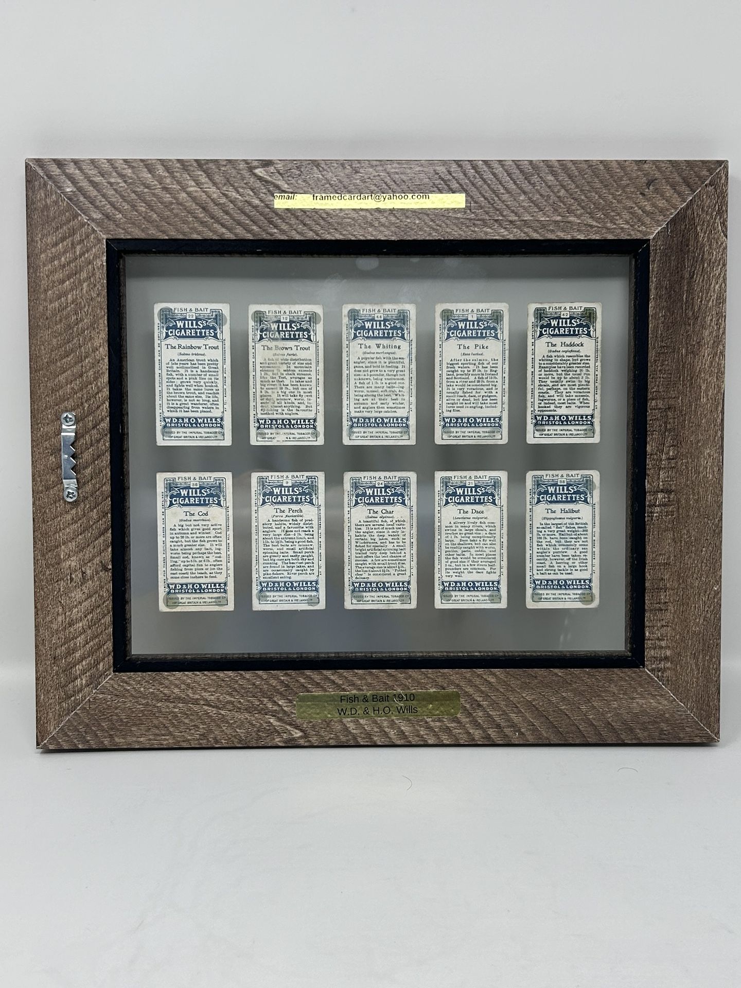 Framed 6 Fish and Bait Cigarette Cards by WD and HO Wills Issued in 1910.  fish and Bait Lure