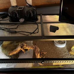 Front opening lizard/Bearded Dragon Full Setup