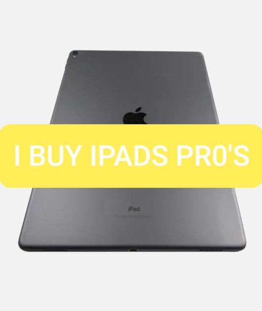 iPad PRo 12.9 Tablet Gray 256GB Used Wifi Cellular 