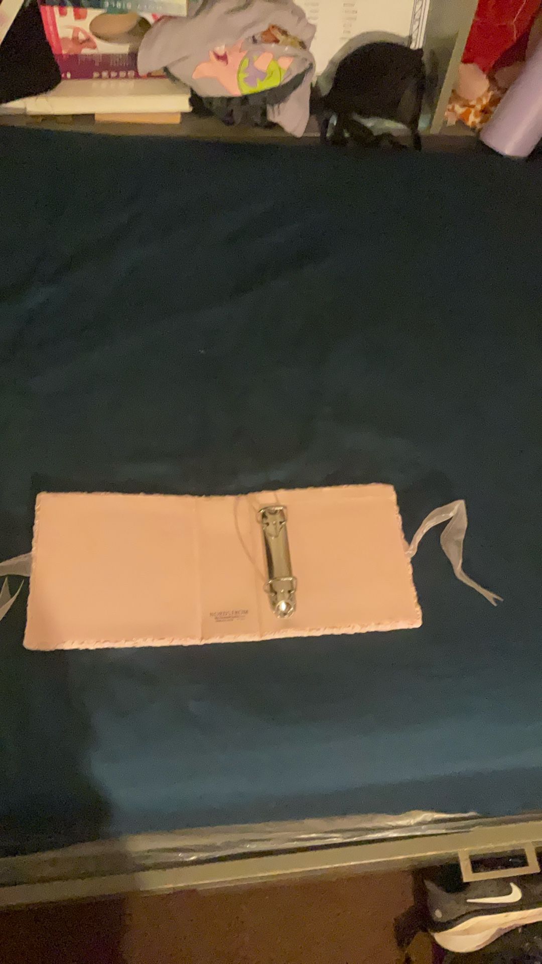 Pink Album Holder
