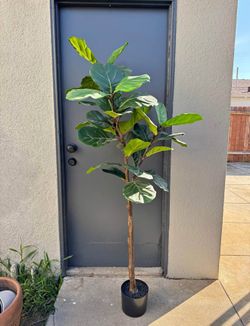Faux Fiddle Leaf 70inches