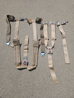 Pyrotect racing harness