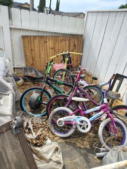 Free free bikes