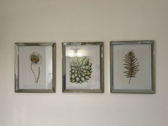Framed Art