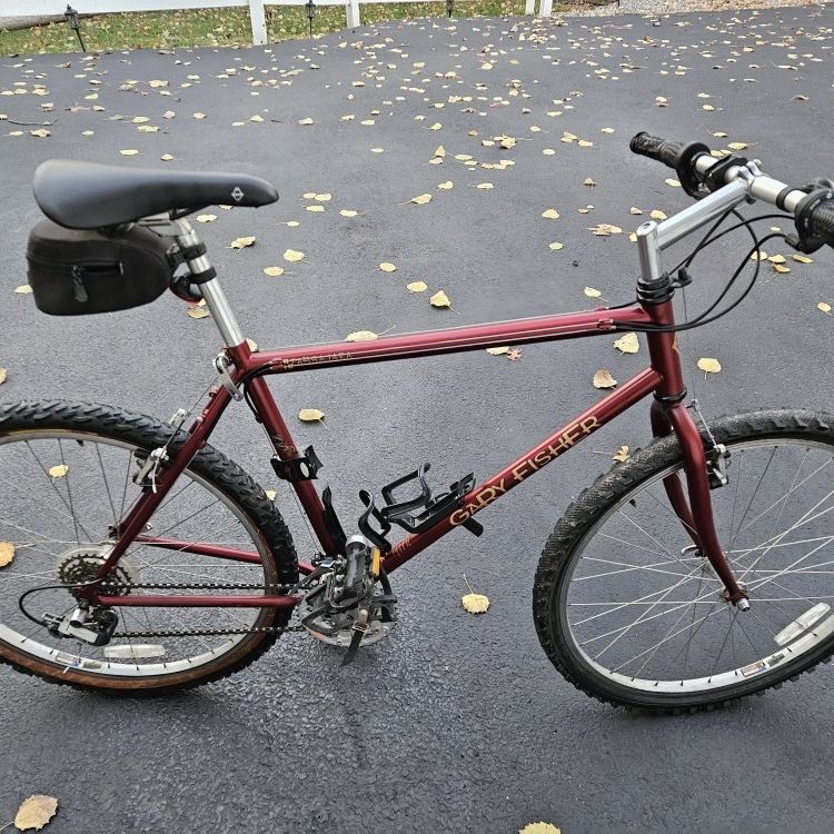 Gary fisher offers advance silver series aluminum