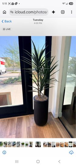 Plantas artificiales