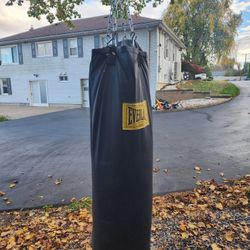 Everlast Punching Bag