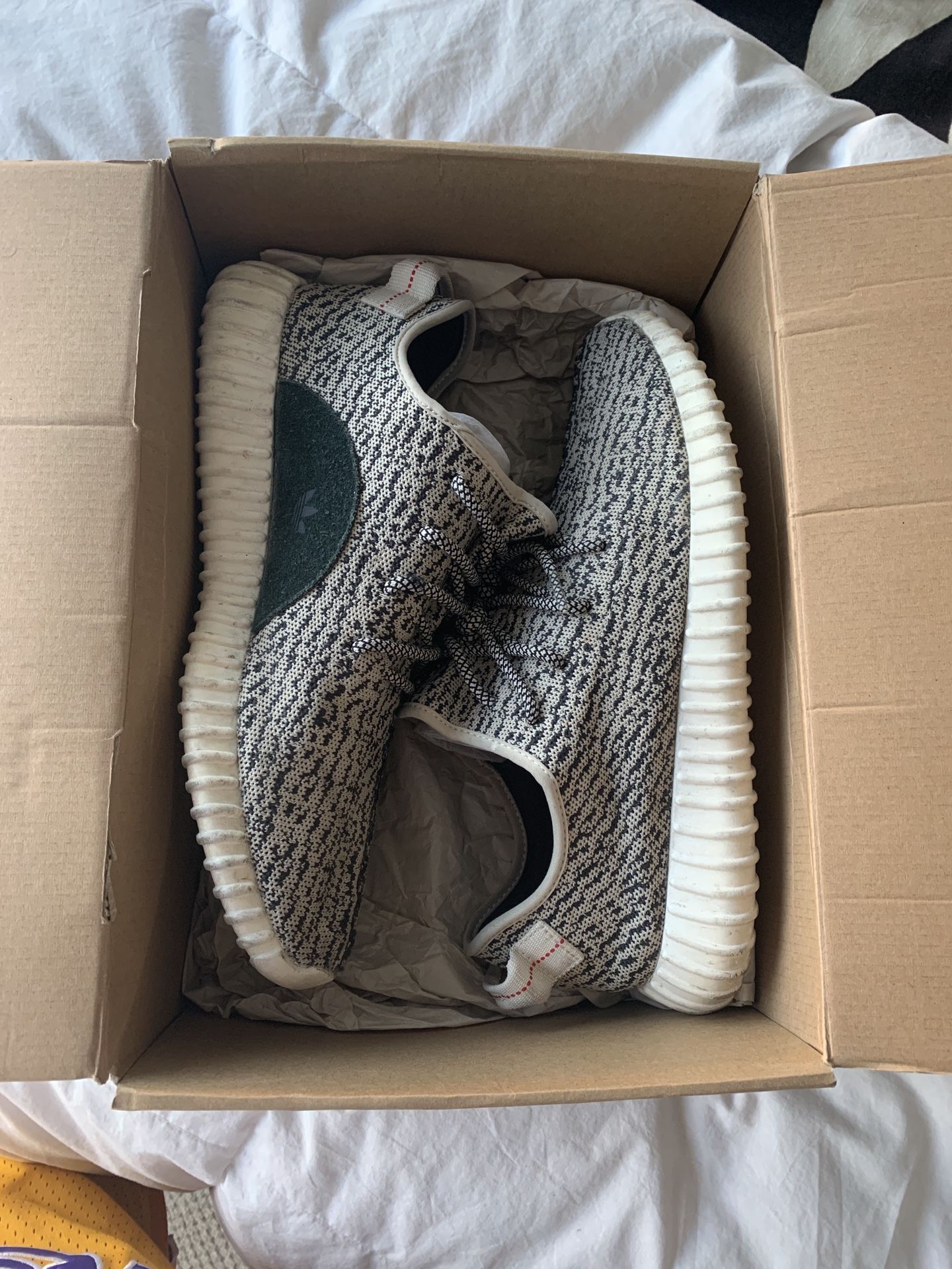 Yeezy V1 Turtle Dove