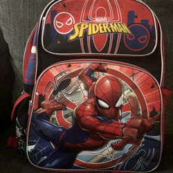 3D Spider-Man Backpack 