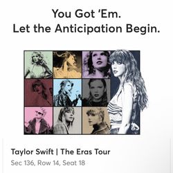 Taylor Swift Eras Tour Ticket 