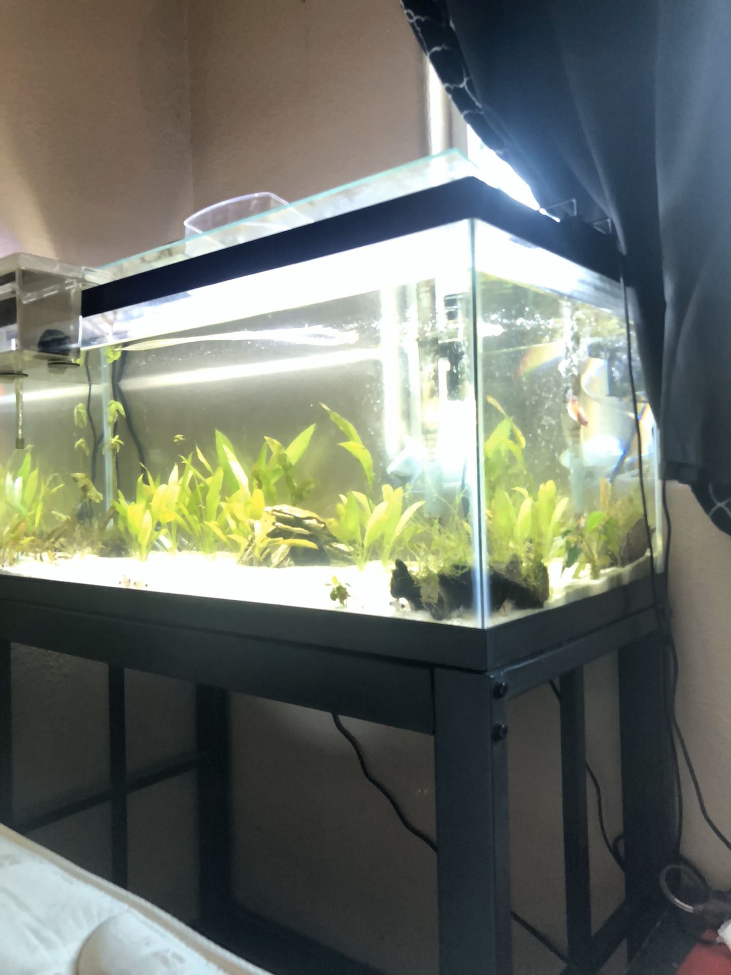 40 Gallon Breeder Tank Stand - zrrffn8